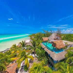 Tiburon Isla Holbox